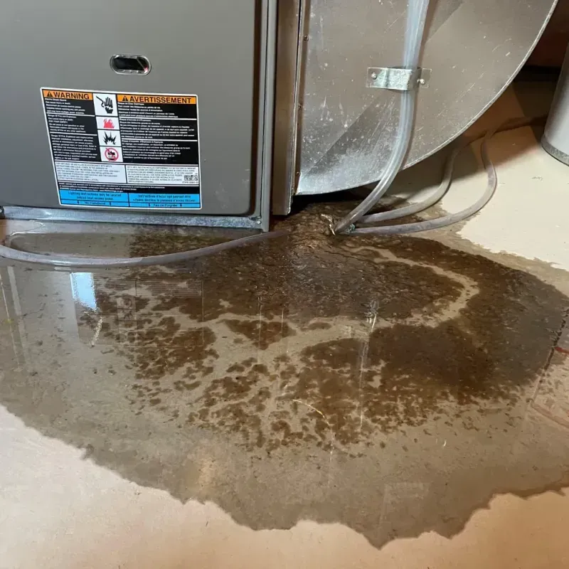 Appliance Leak Cleanup in Benton County, IN